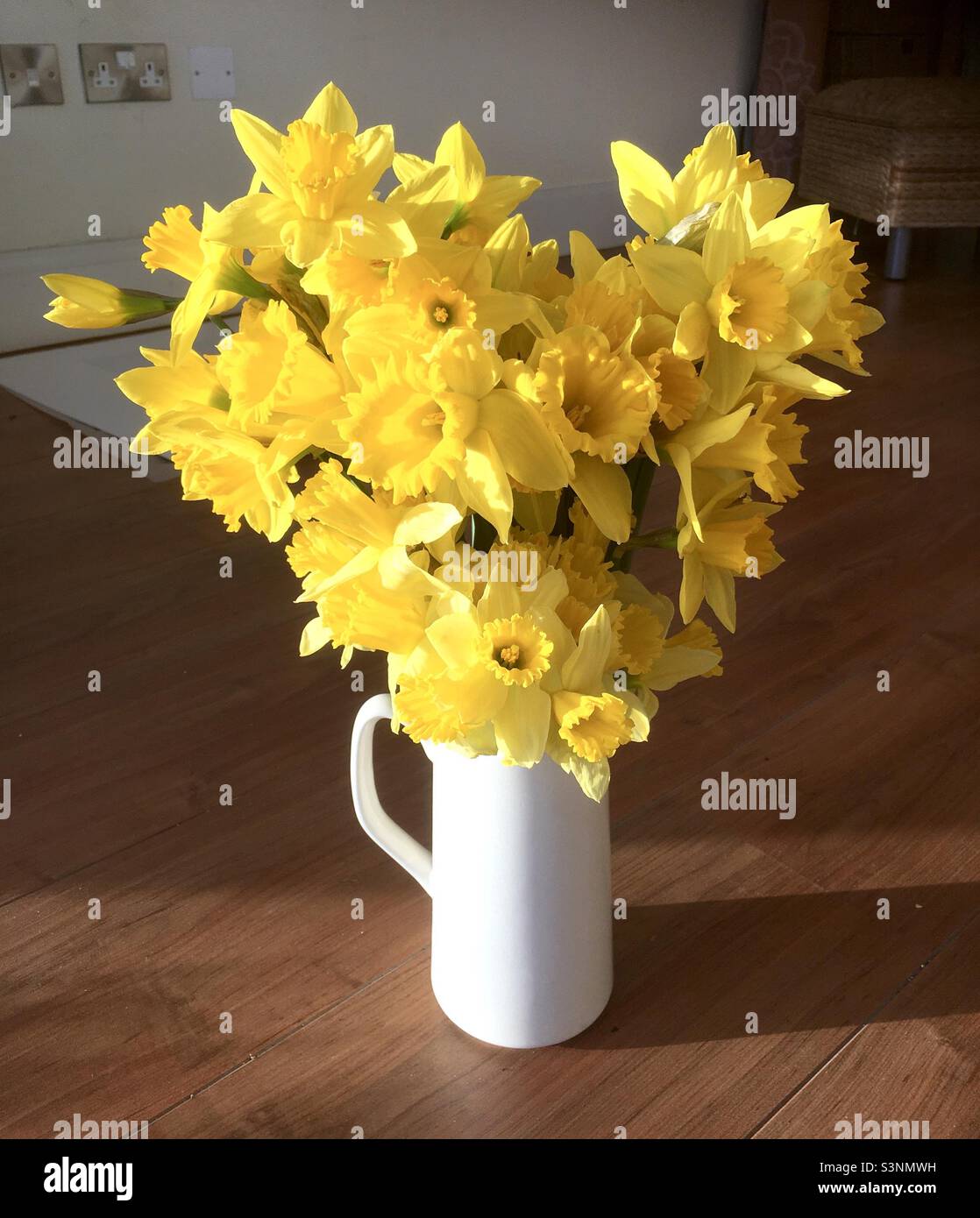Narzissen Herz, Narzissen, Herzform, Blumen in Vase, weiß , Gelb, golden, Natur, Schönheit Stockfoto