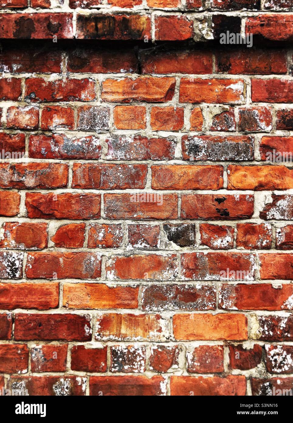 Rustikale Backsteinmauer in England, Vereinigtes Königreich Stockfoto