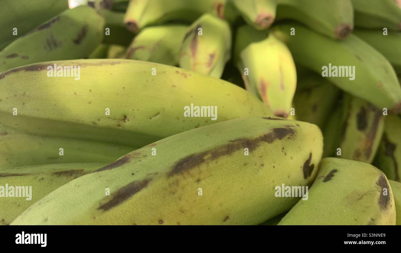 Nahaufnahme von Bananen, Havanna, Kuba. Bio-Lebensmittel Stockfoto