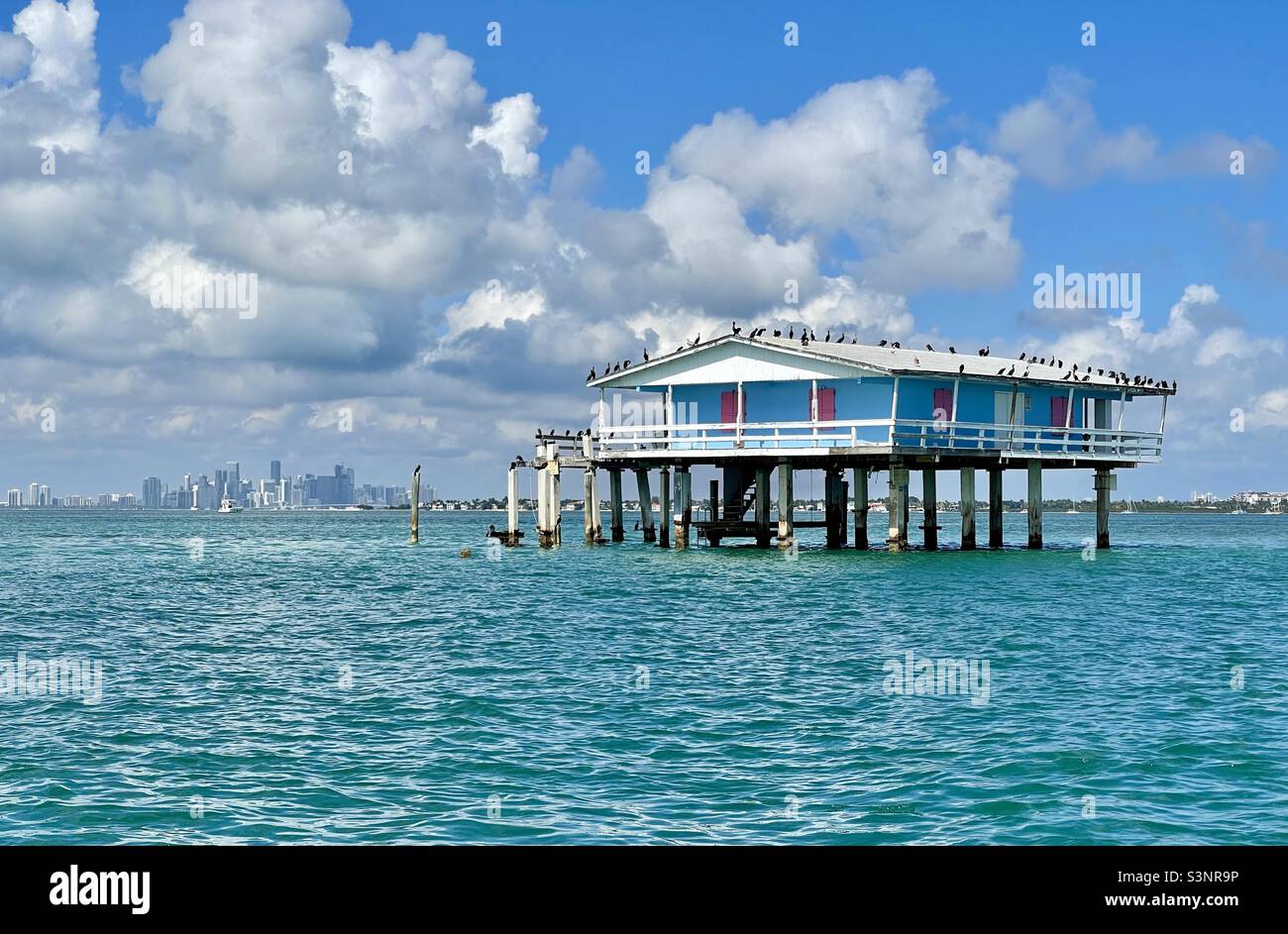Haus in Stiltsville in Biscayne Bay, Miami, Florida mit der Skyline von Miami im Hintergrund. Stockfoto
