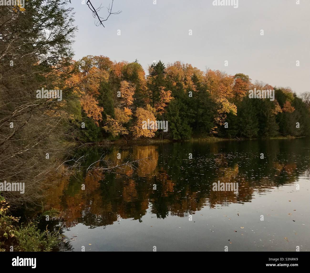 Schöner Tag auf unserer Wanderung zu den Ruinen von Carbide Willson. Stockfoto