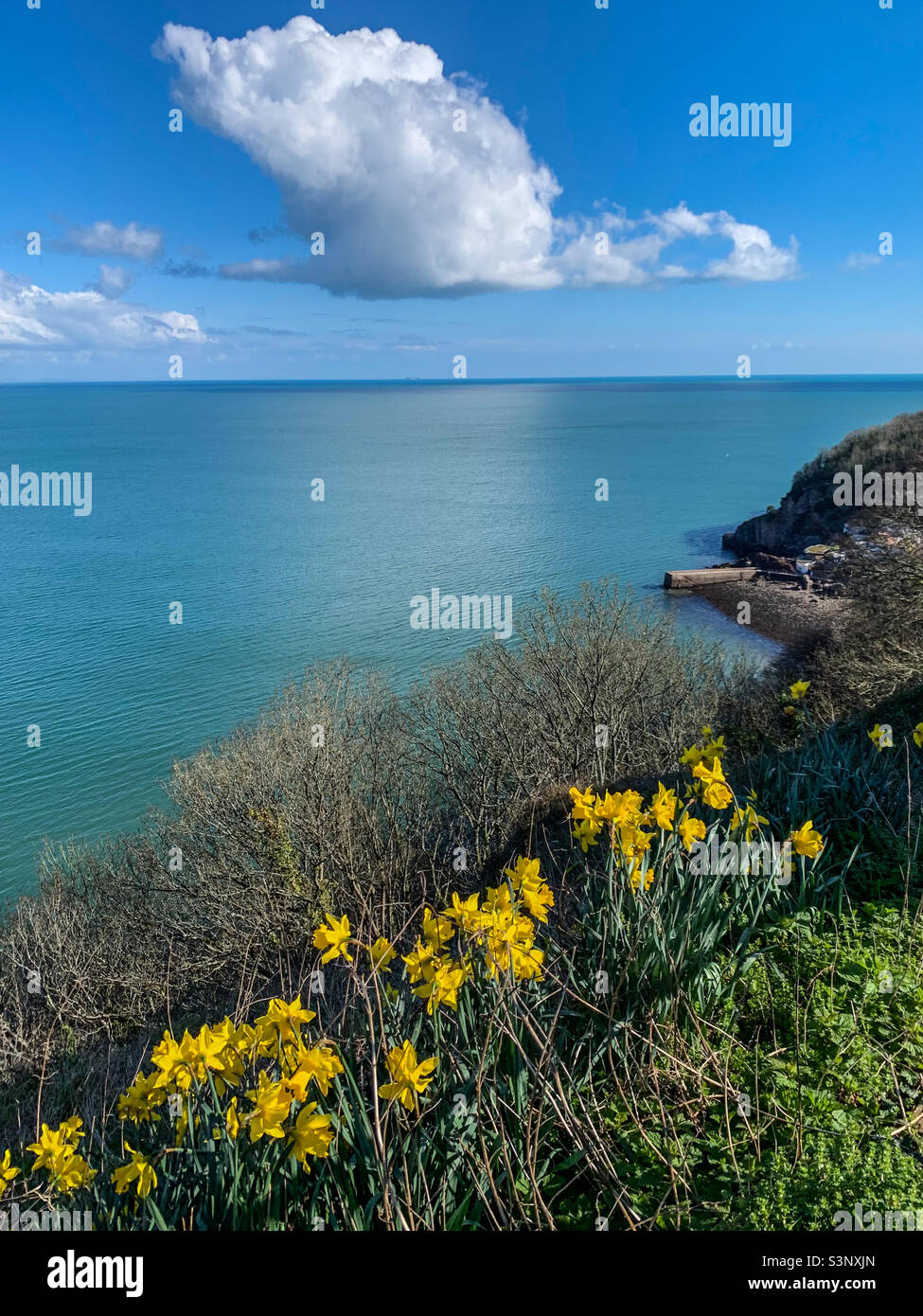 Frühling an der englischen Küste Stockfoto
