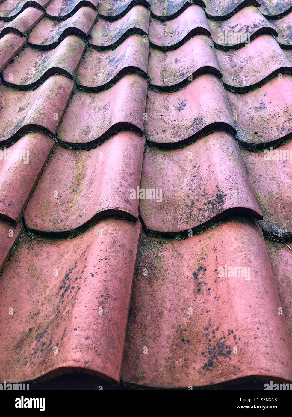 Dachziegel aus Terrakotta-Pantile Stockfoto