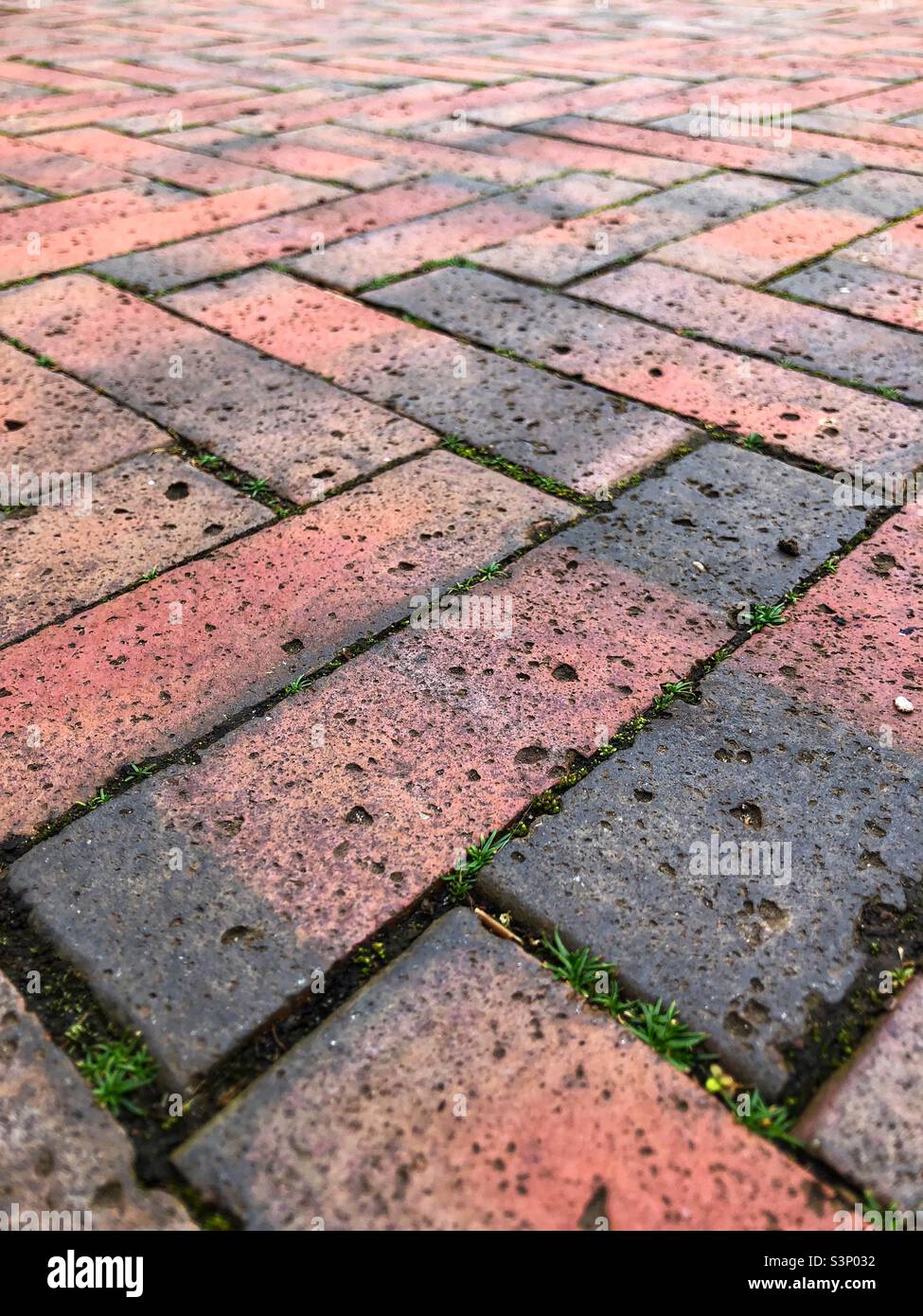 Pflasterdecke Stockfoto