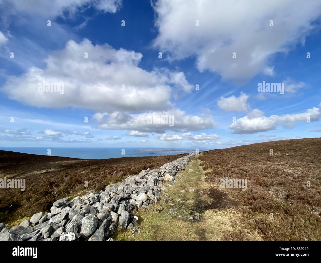 Knocknarea Berg in der Grafschaft Sligo, Irland Stockfoto