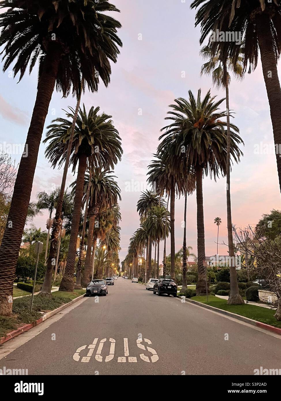 Von Palmen gesäumte Straße in Santa Monica um den Sonnenuntergang herum - Smartphone-aufgenommenes Stockfoto