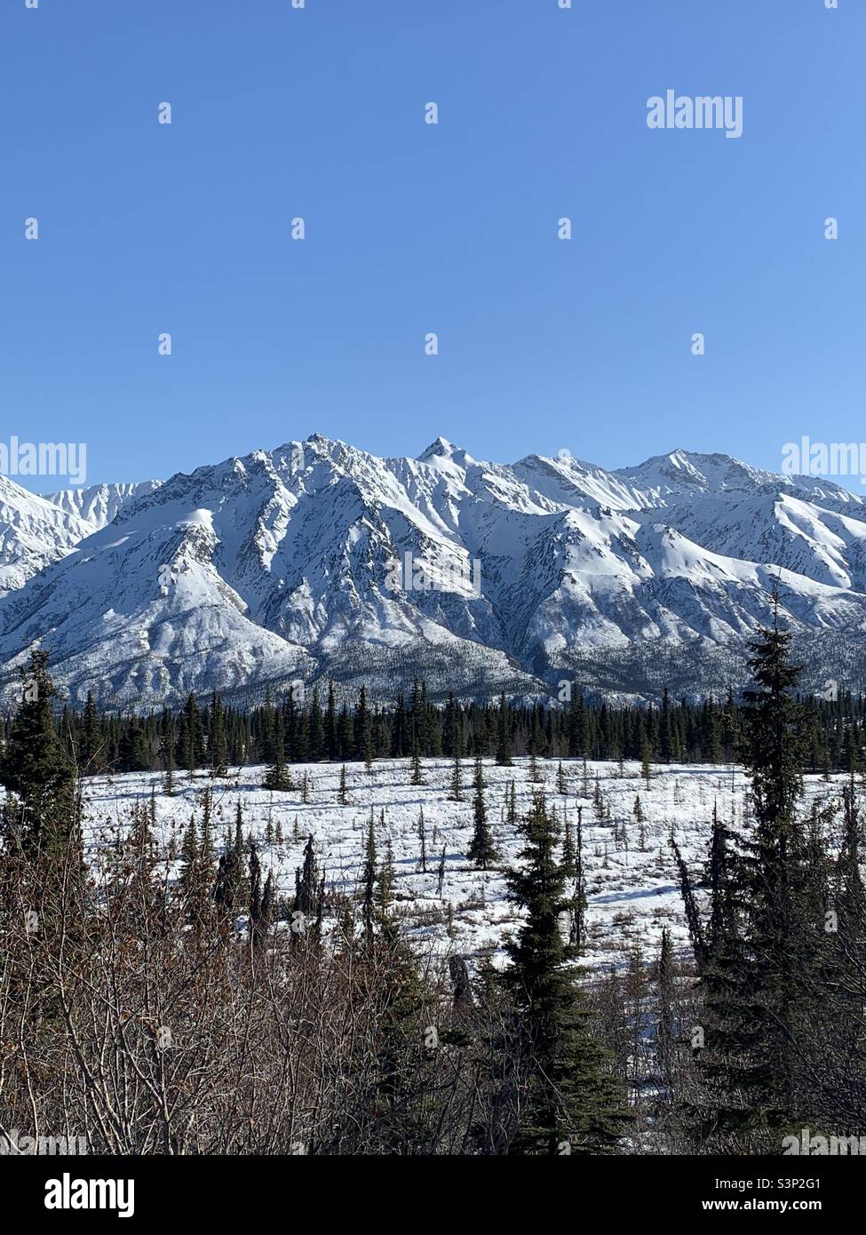 Alaskan Berge in der Umgebung von Mt. Thor und Mt. Witherspoon entlang des Richardson Highway. Stockfoto