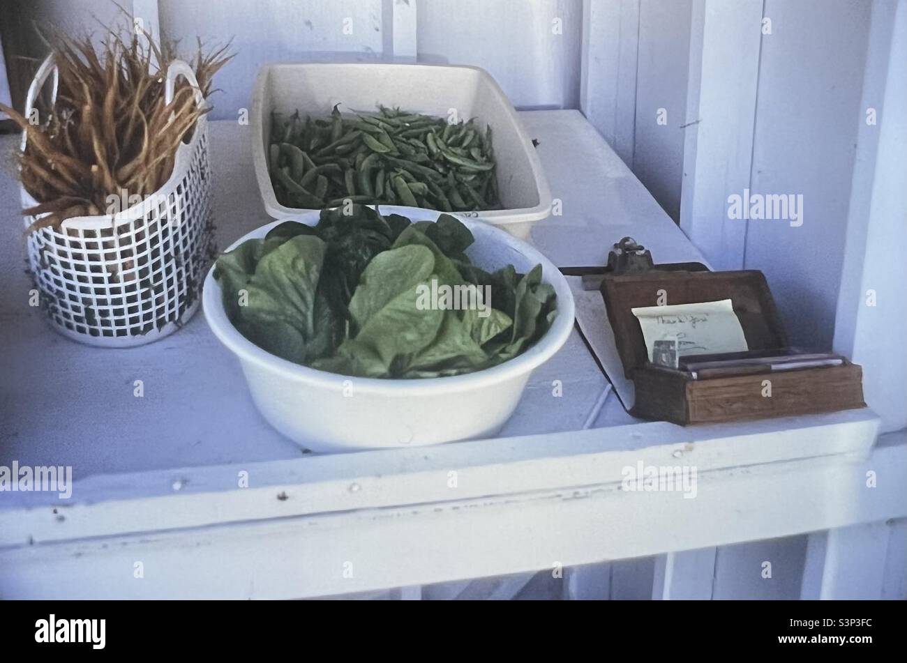 Gartengemüse mit Ehrengeld-Box in Maine - Smartphone-aufgenommenes Stockfoto