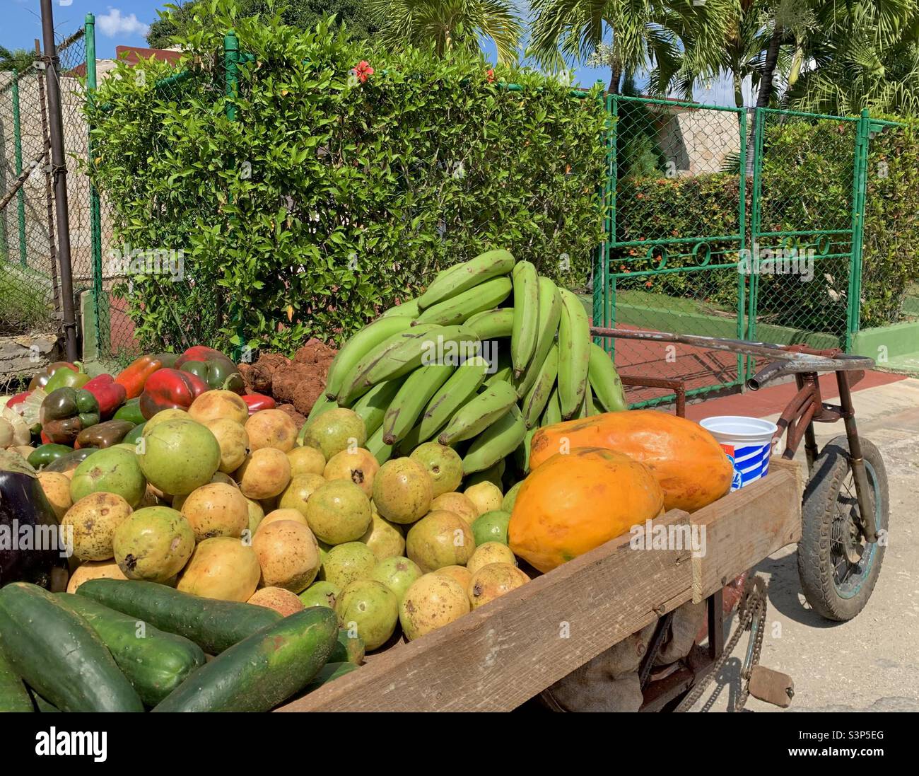 Bio-Obst und Gemüse werden auf einer Straße in Havanna, Kuba, verkauft Stockfoto