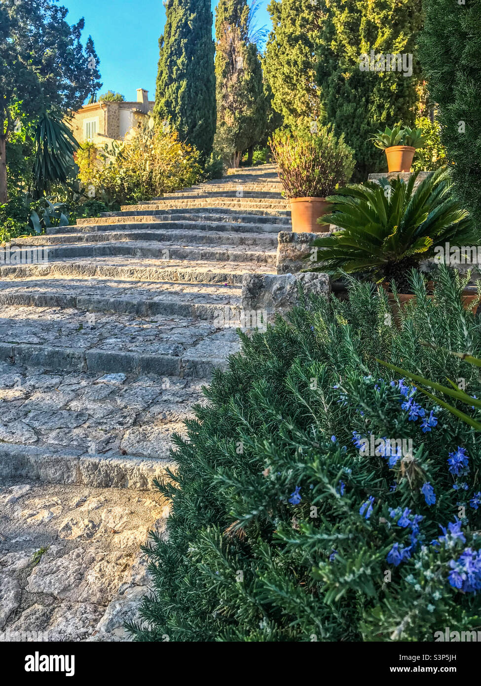 Calvari-Treppe, Pollenca-Stadt, Mallorca - Smartphone-aufgenommenes Stockfoto