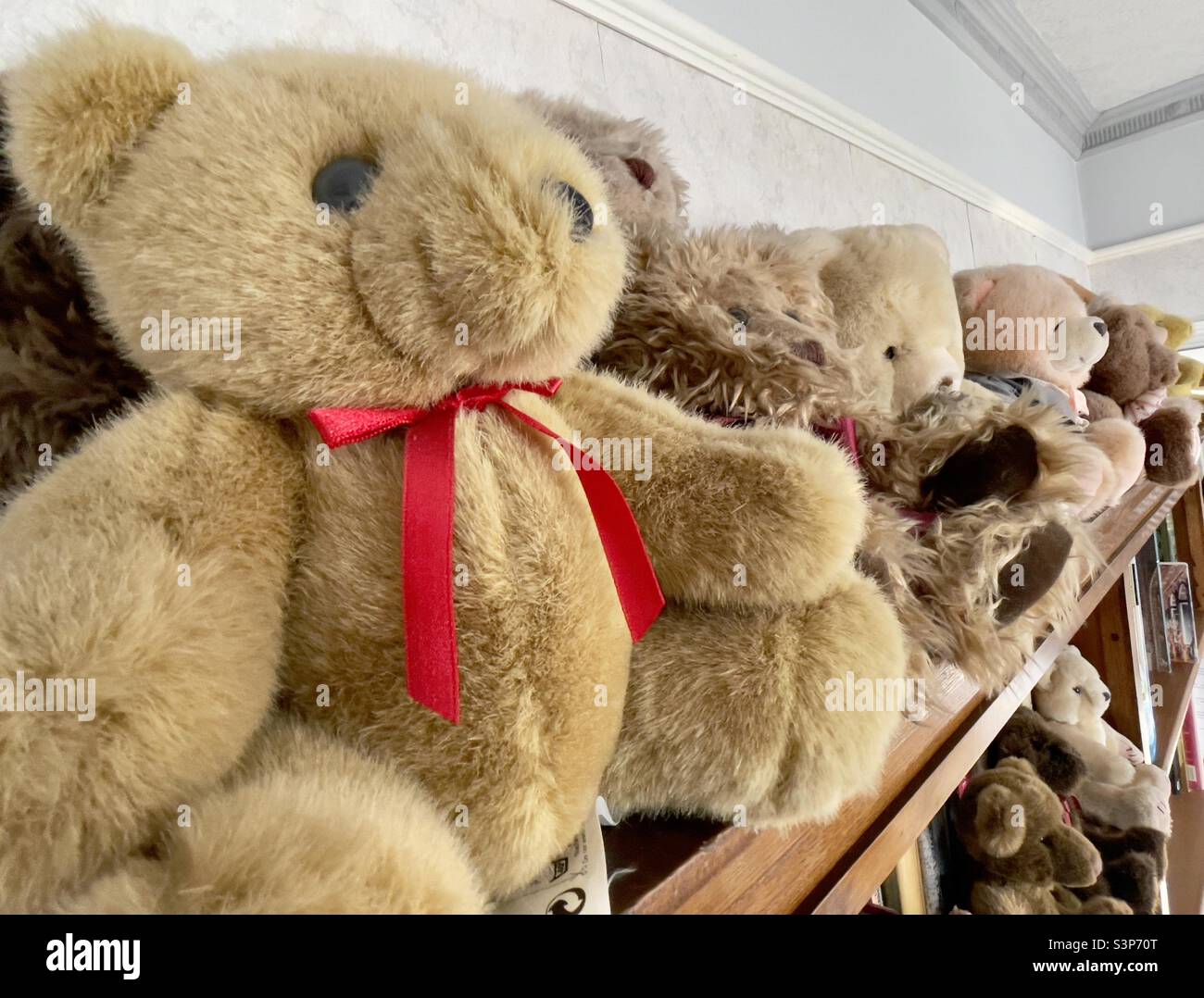 Eine Sammlung von Teddybären, die in einer Reihe auf einem Bücherregal sitzen Stockfoto