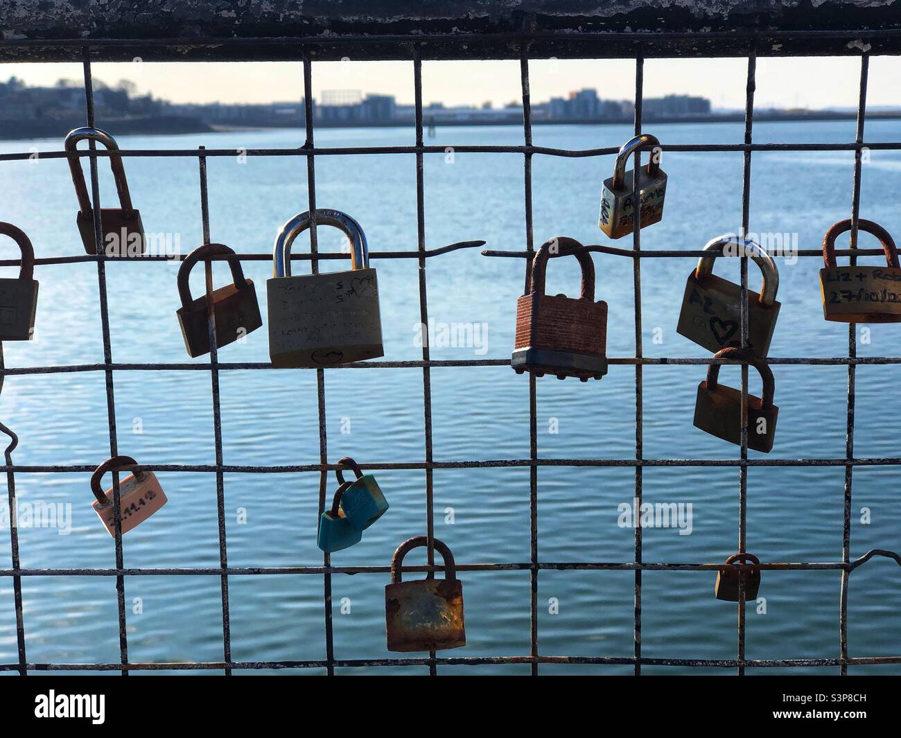 Lovelocks auf einem Drahtzaun mit Blick auf die Mündung Stockfoto