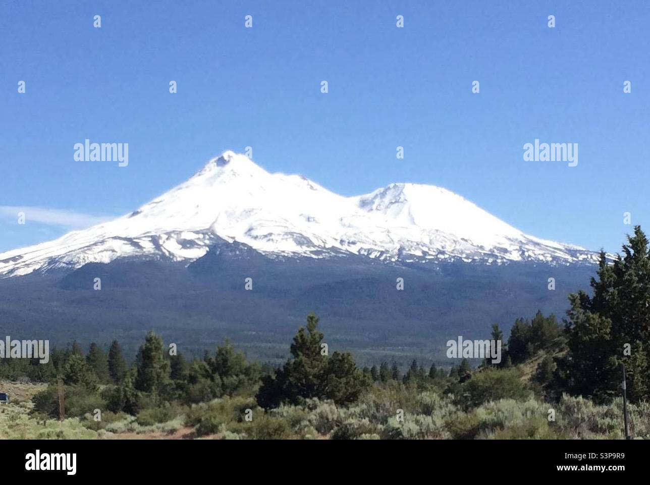 Mt. Shasta mit Schnee Nordkalifornien Stockfoto