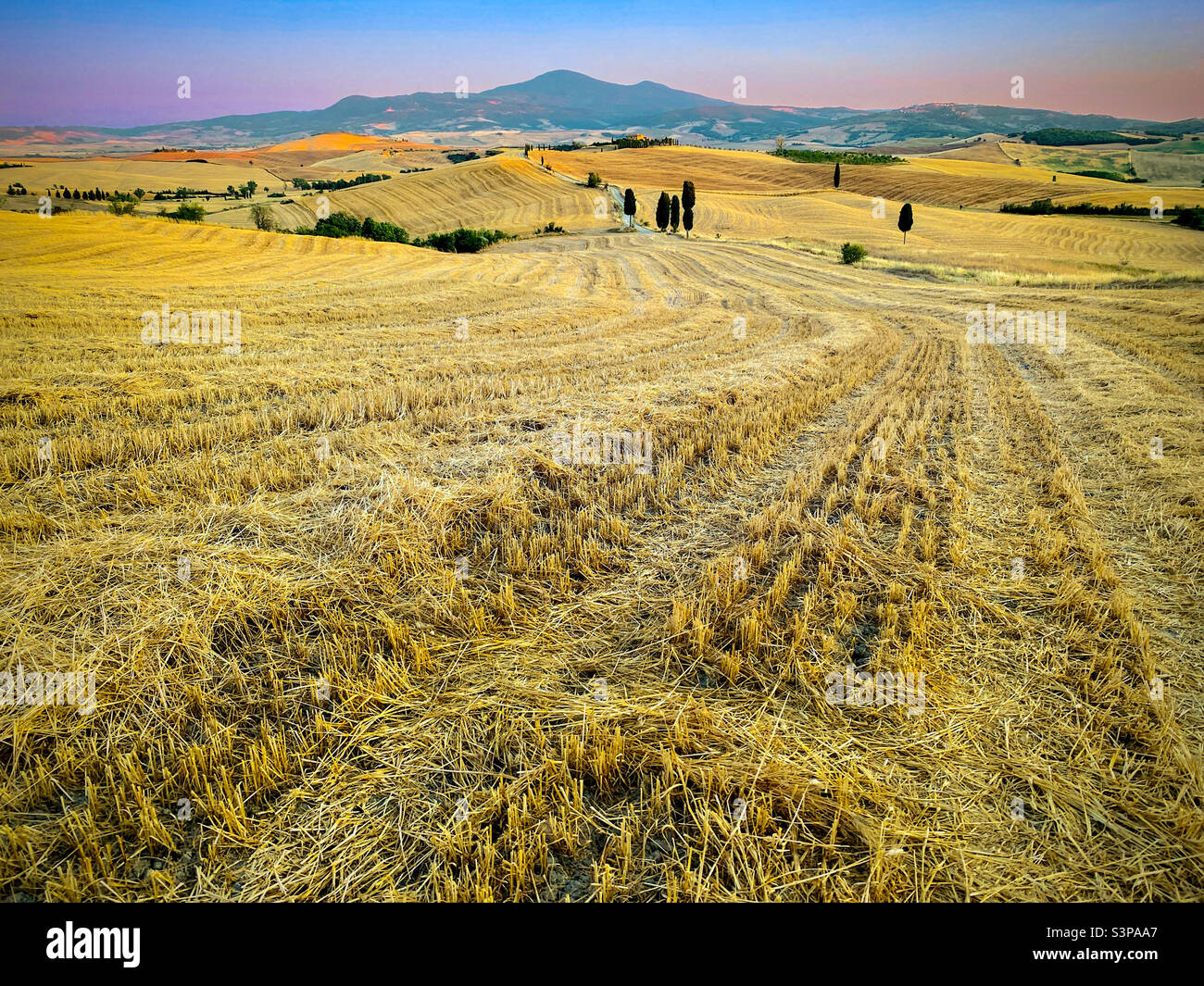 Frisch geerntetes Weizenfeld in der toskanischen Landschaft. Pienza, Toskana, Italien Stockfoto