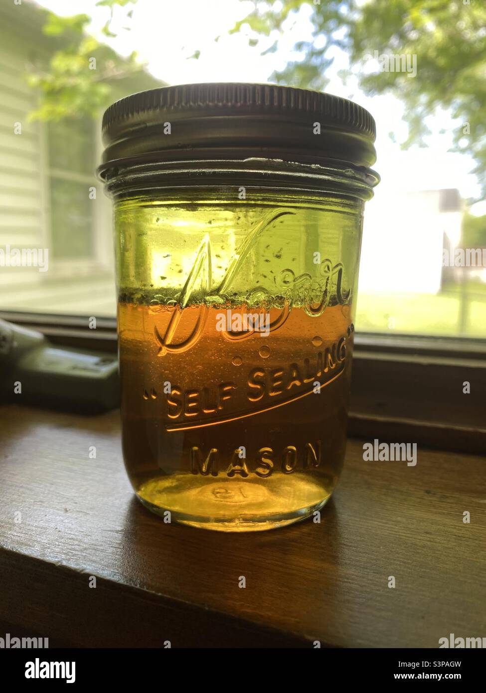 Ein Glas Zitronenvinaigrette, das auf einer Fensterbank sitzt. Die Sonne lässt die Flüssigkeit ein hübsches Gelb leuchten. - Smartphone-aufgenommenes Stockfoto