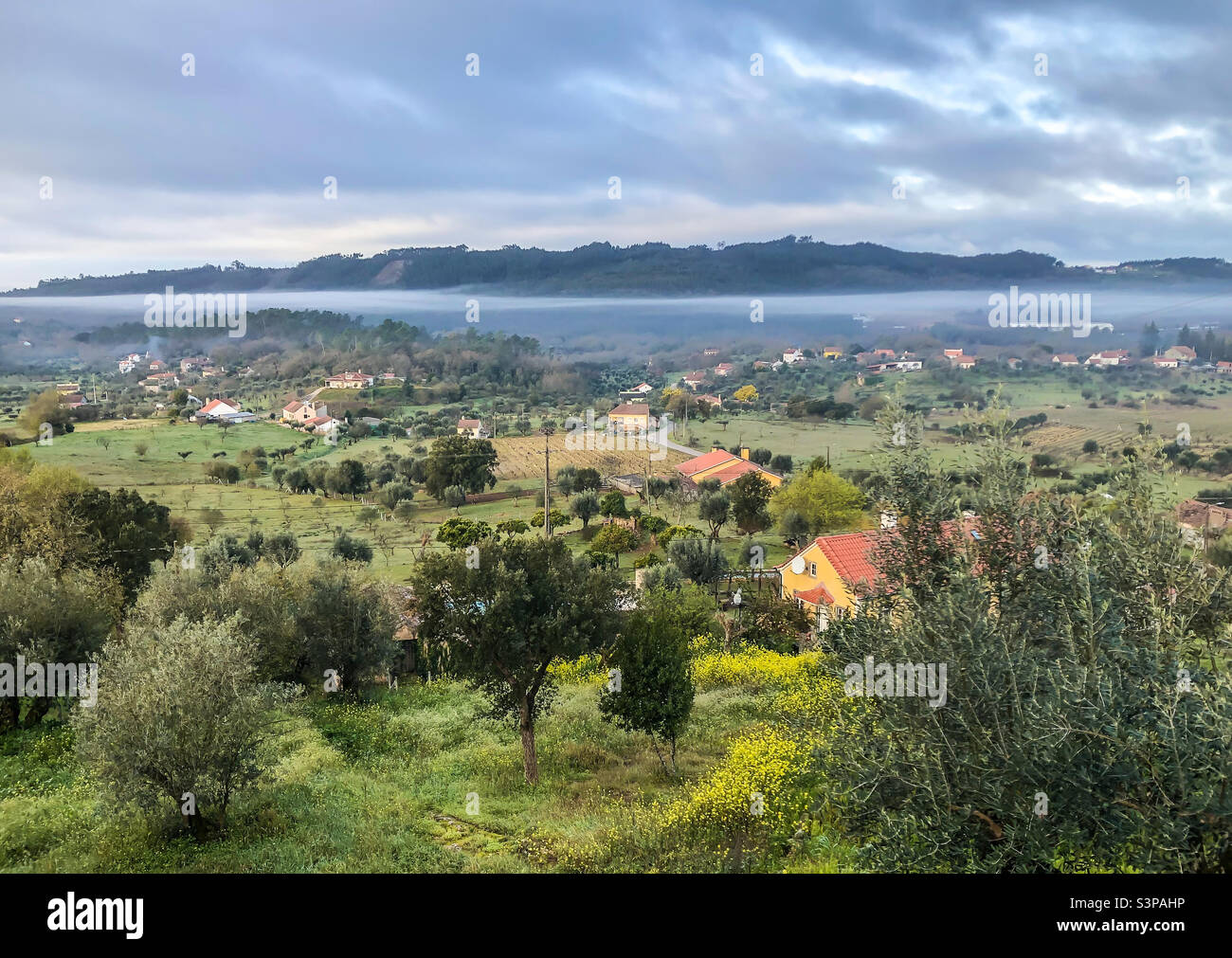 Am frühen Morgen beginnt sich der Nebel über einer mit Olivenbäumen und Hütten übersäten Landschaft zu klären Stockfoto