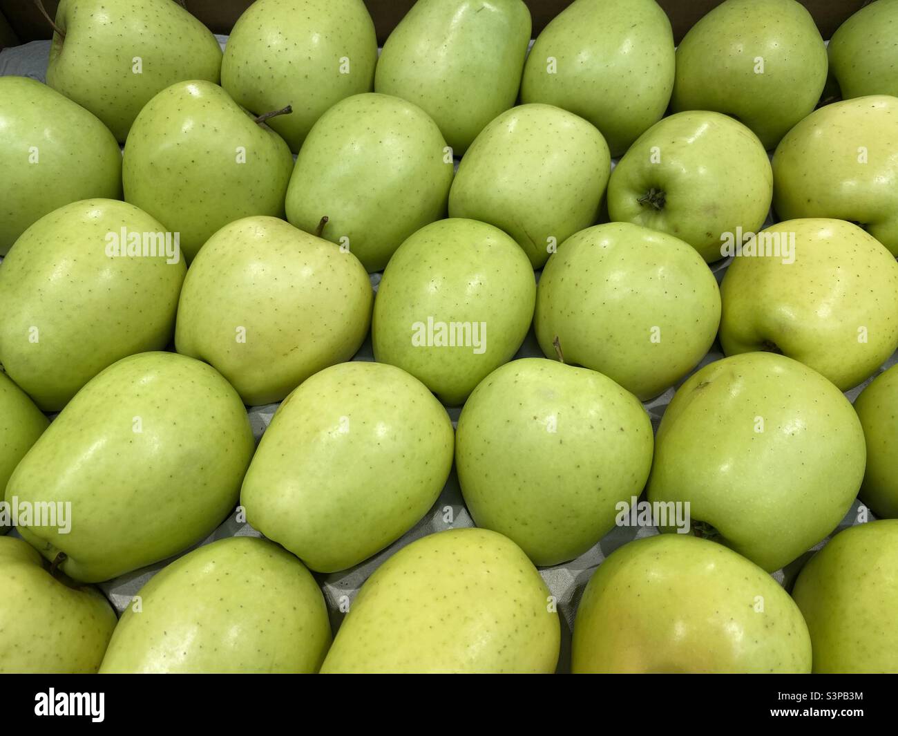 Grüne Äpfel in einem Tablett Stockfoto