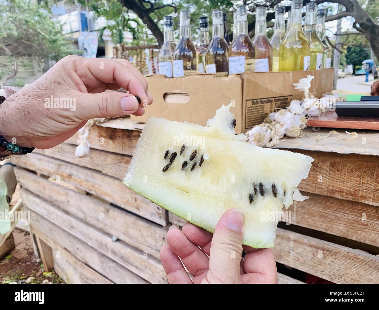 Hand hält eine Scheibe weiße Melone. Lebensmittelmarkt in Kuba. Havanna, Kuba, Karibik. Tropische Früchte - Smartphone-aufgenommenes Stockfoto