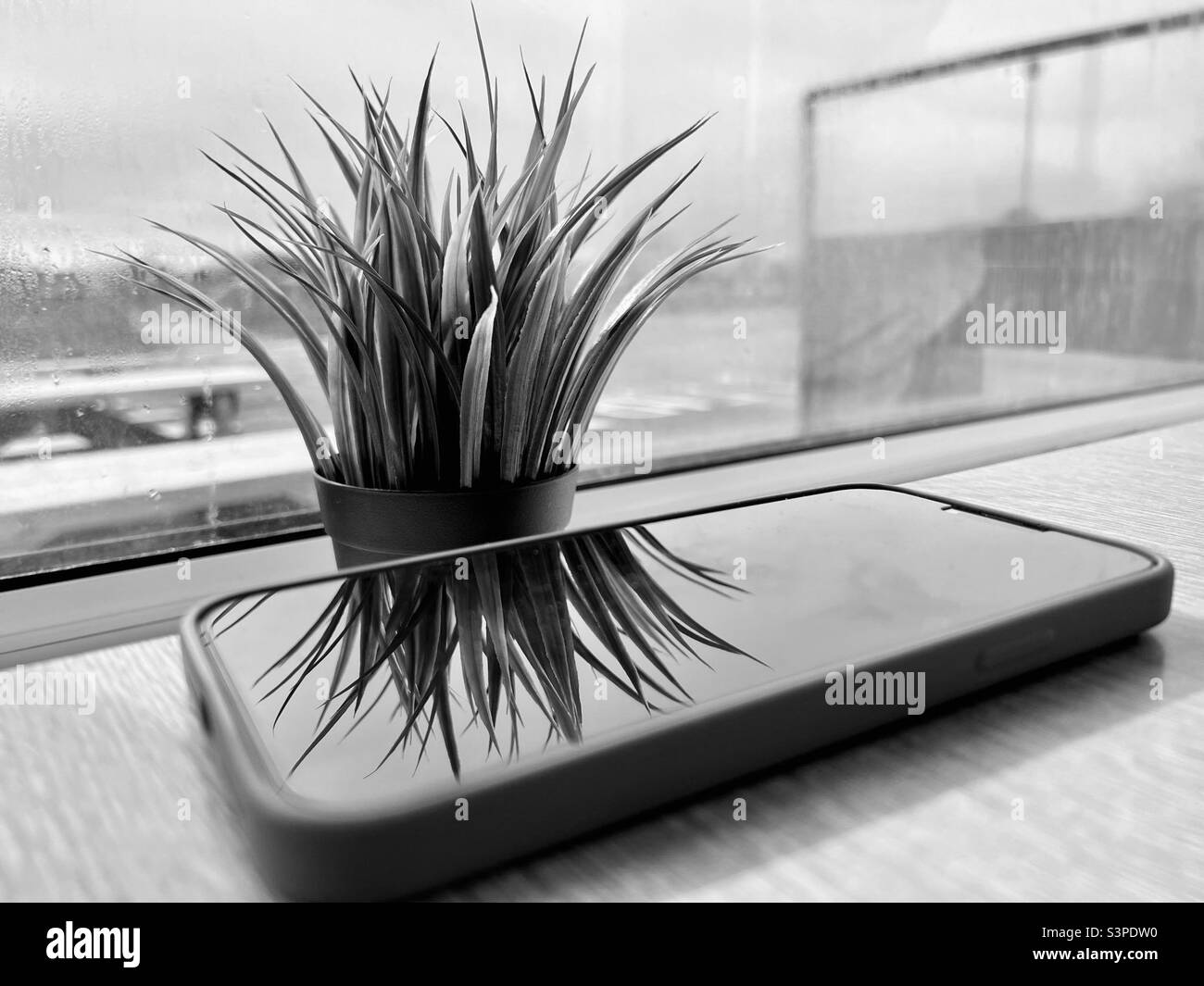Pflanzenreflexion auf dem iPhone-Bildschirm in Schwarz und Weiß Stockfoto