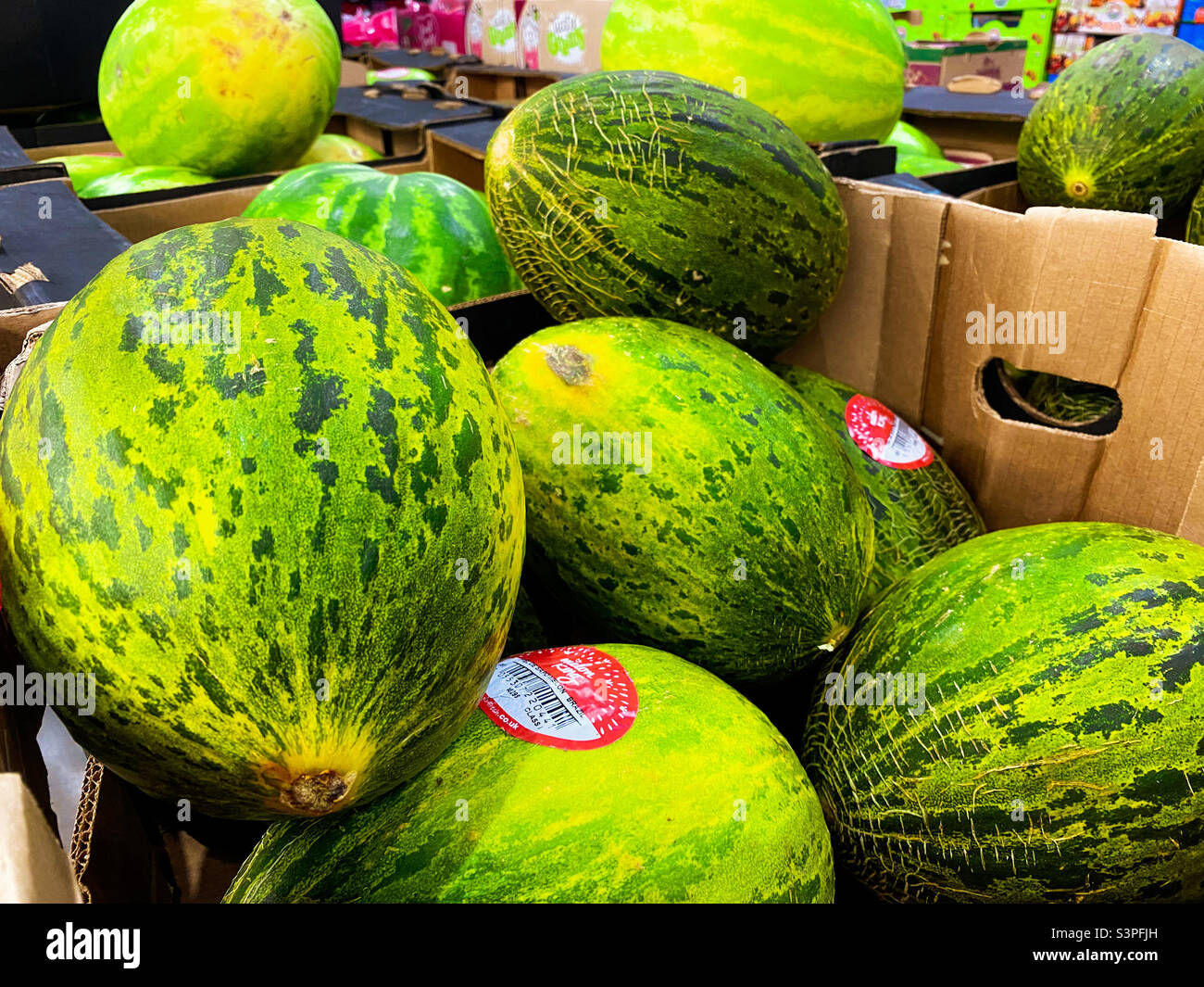 Nahaufnahme von Wassermelonenfrüchten in einem Geschäft. Stockfoto