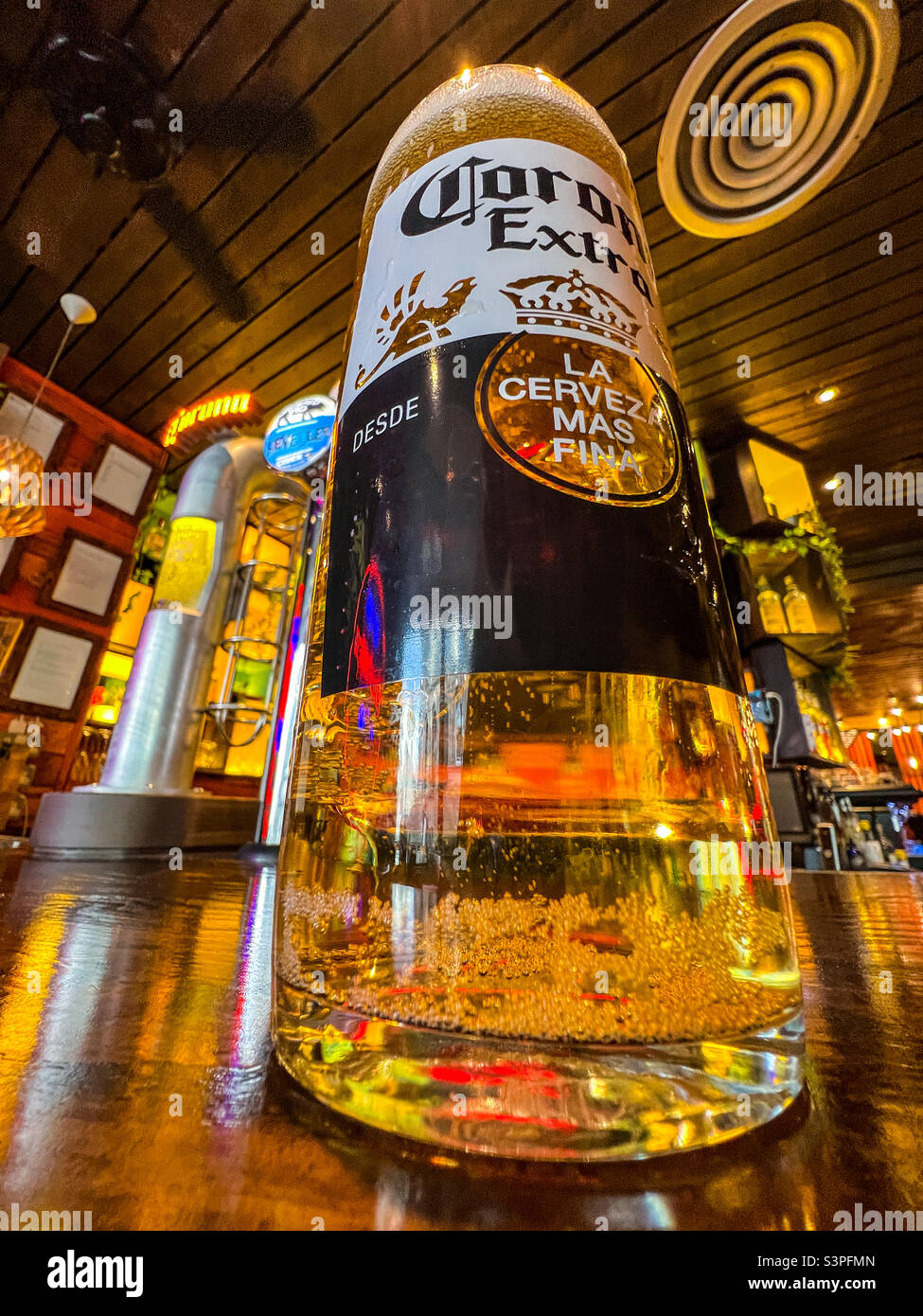 Erfrischendes Pint eiskalten Corona Extra an der Bar Stockfoto