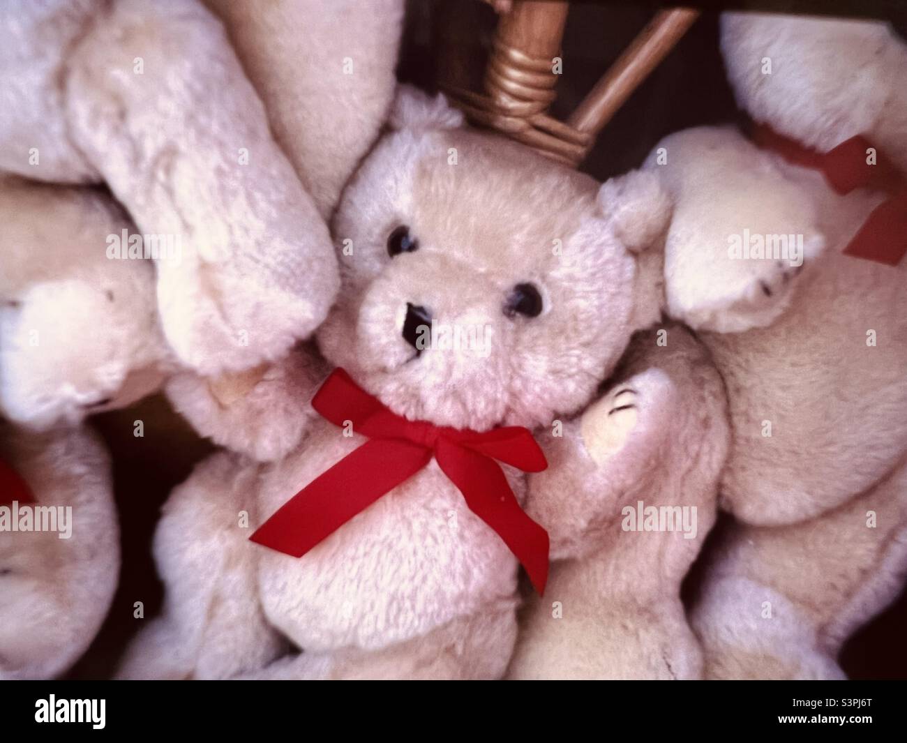 Teddybären im Toy Shop York England - Smartphone-aufgenommenes Stockfoto