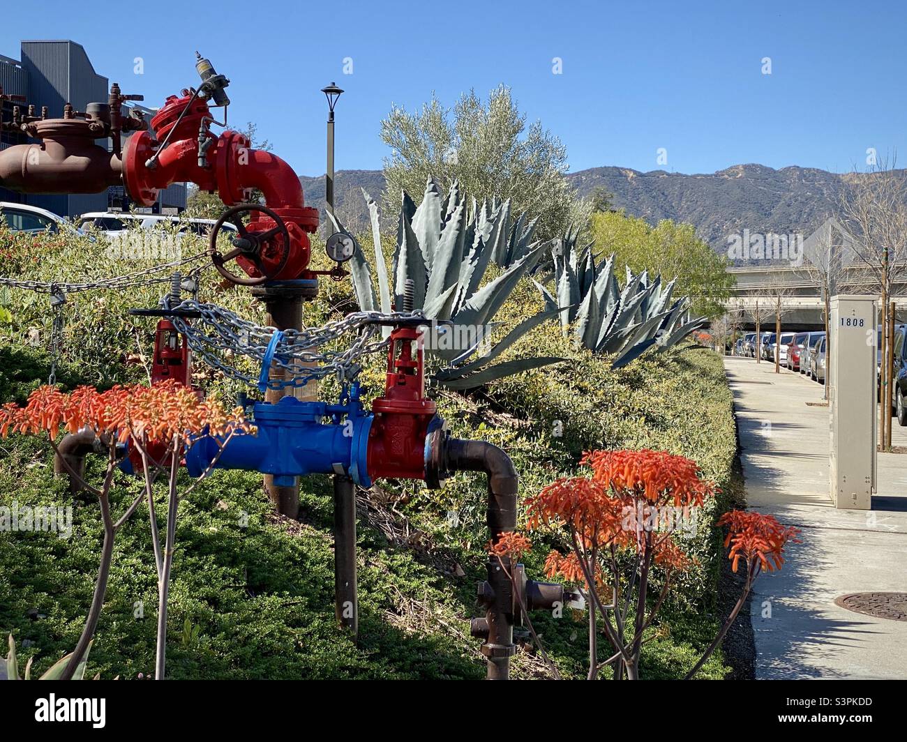 Bunte rote und blaue Pfeifen umgeben von Blumen und vegetarische am Straßenrand in La Cañada Flintridge, Kalifornien, mit Bergen im Hintergrund Stockfoto