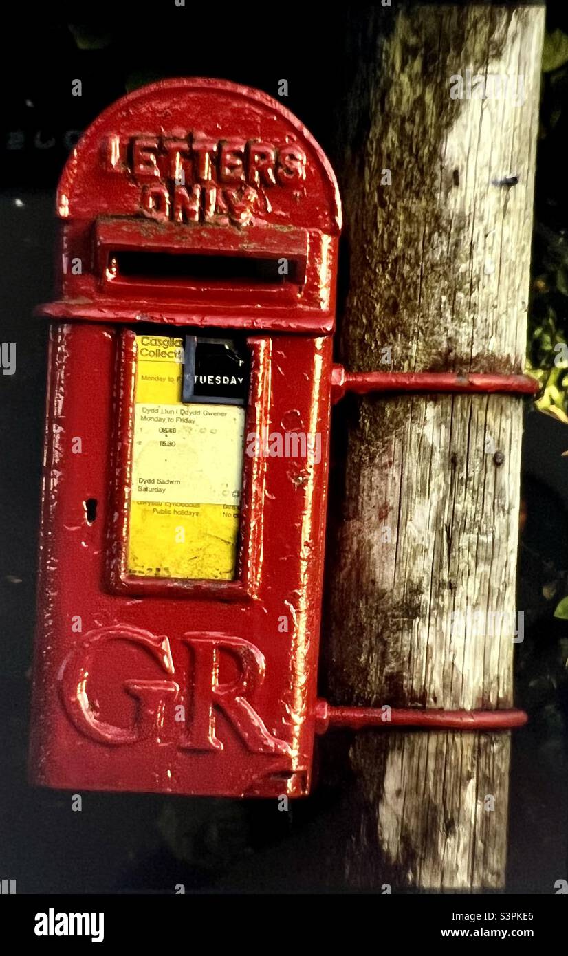 Post box Walisische Sprache auf Baum in Wales UK Stockfoto