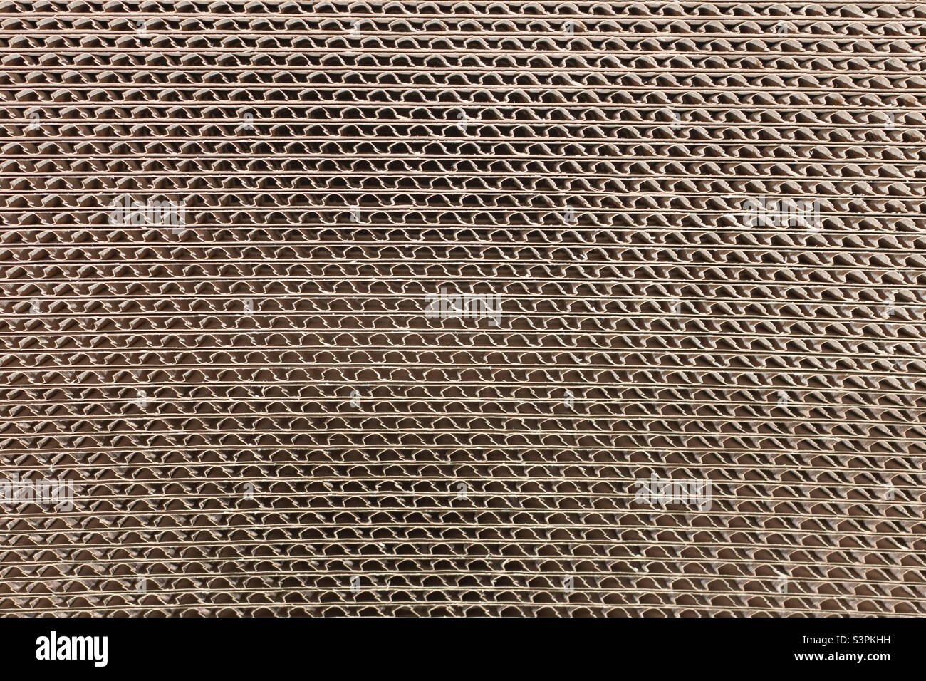 Faserplatten Hintergrund Nahaufnahme. Textur der Faserplatte Stockfoto
