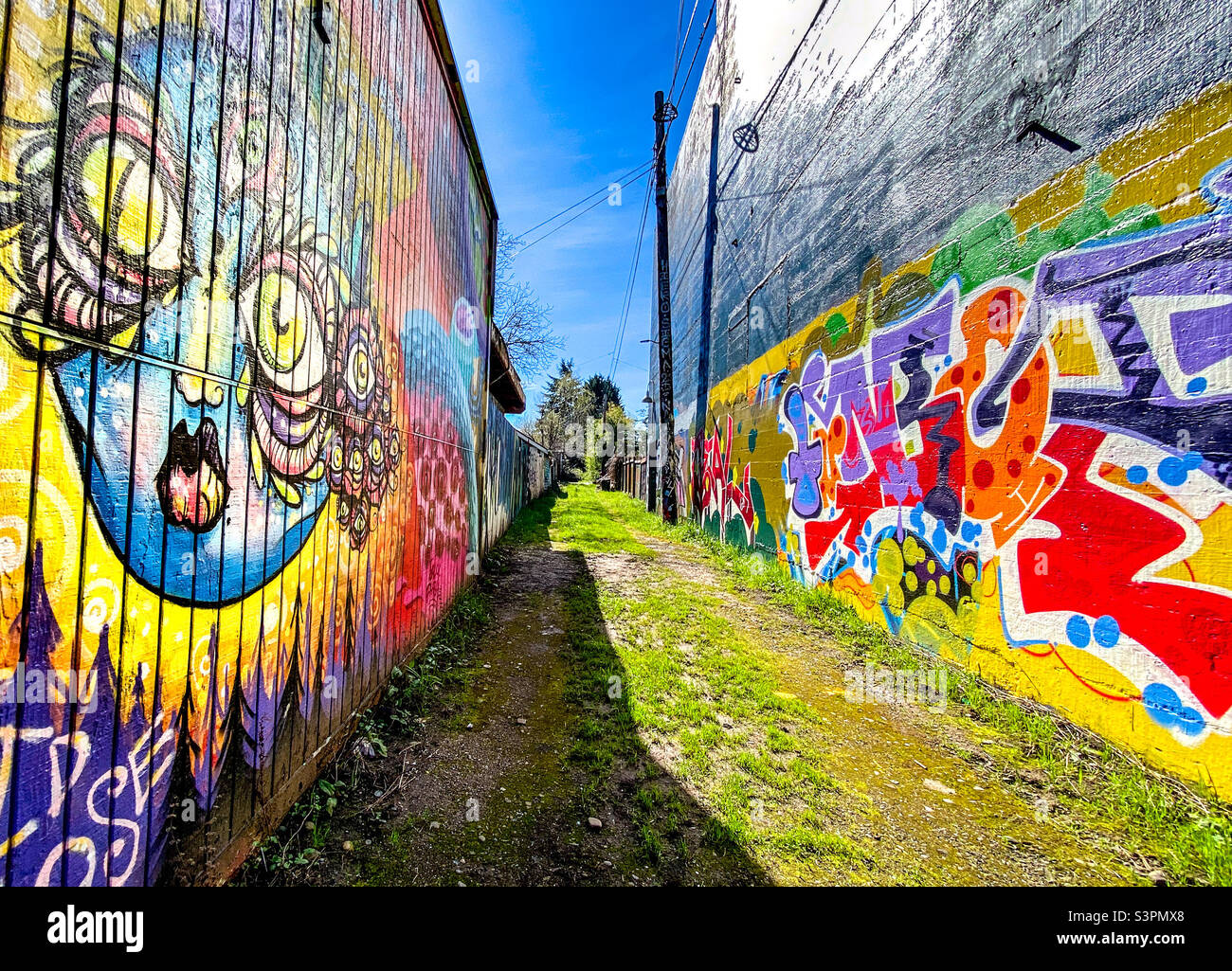 Die farbenfrohe Gasse im lebhaften, kreativen und vielfältigen Viertel des Alberta Arts District in Portland, Oregon, ist mit Stadtkunst/Graffiti geschmückt Stockfoto