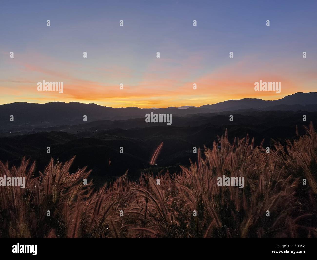 Die Morgenröte steigt - Smartphone-aufgenommenes Stockfoto