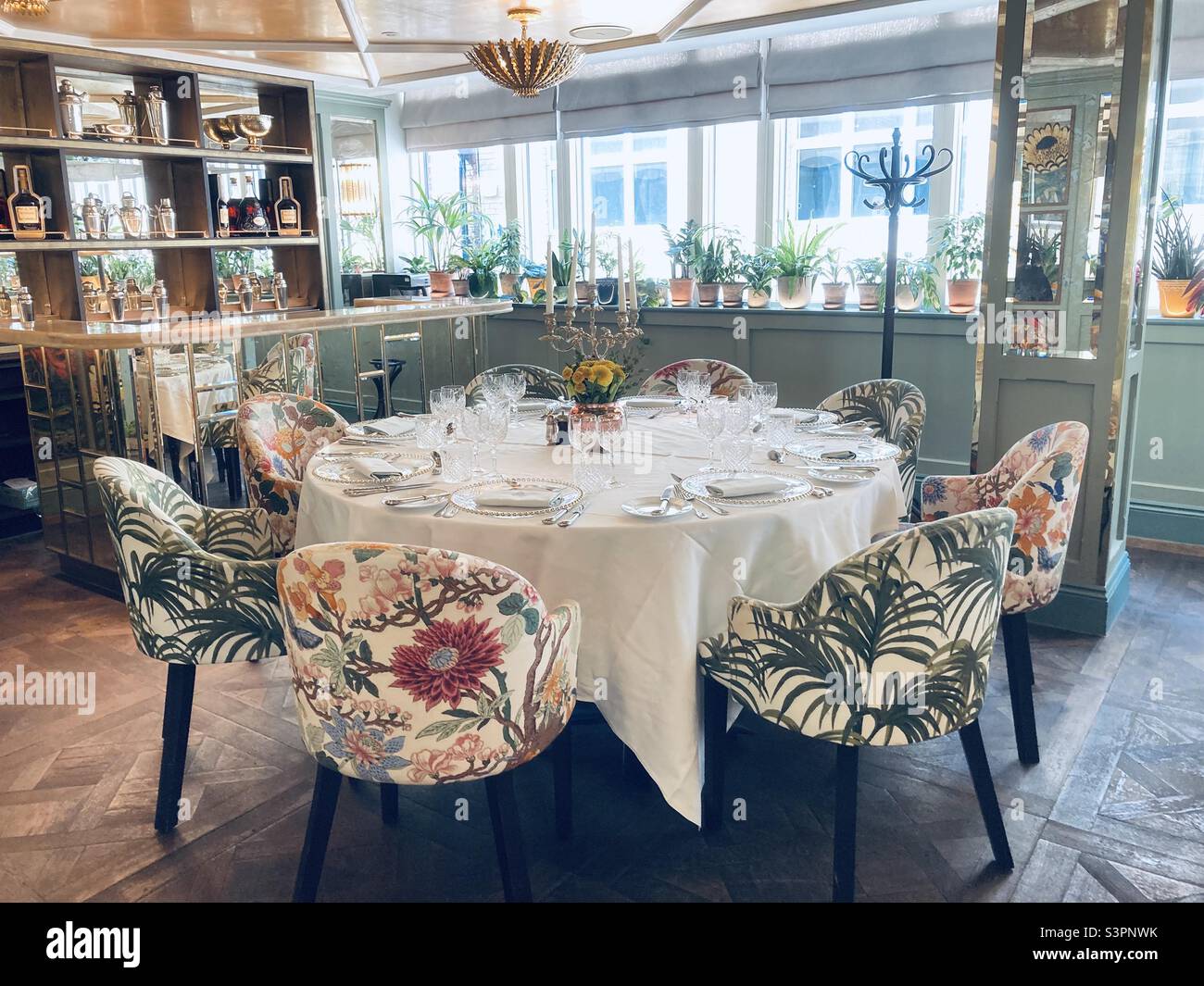 Das Ivy Restaurant in Oxford. Im Obergeschoss befindet sich ein botanischer Raum. Tisch und Stühle - Smartphone-aufgenommenes Stockfoto