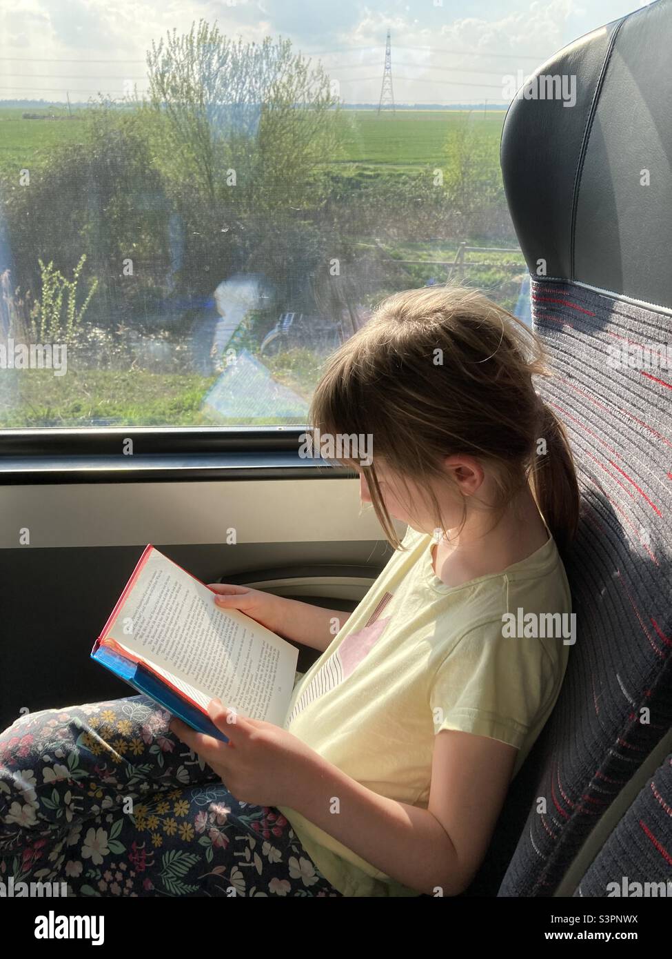 Mädchen liest in einem britischen Zug - Smartphone-aufgenommenes Stockfoto