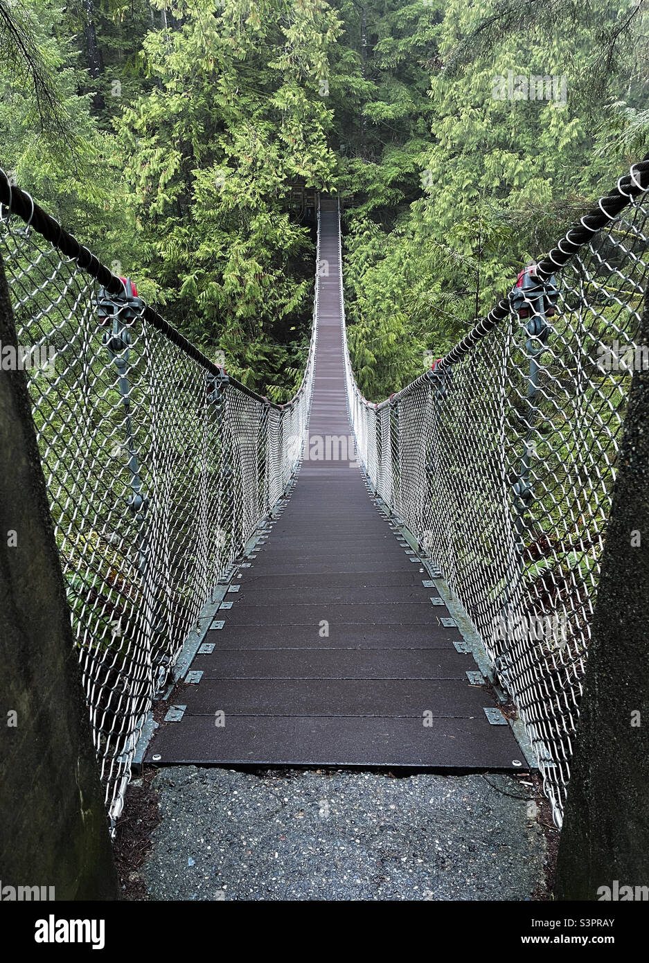 Hängebrücke Stockfoto
