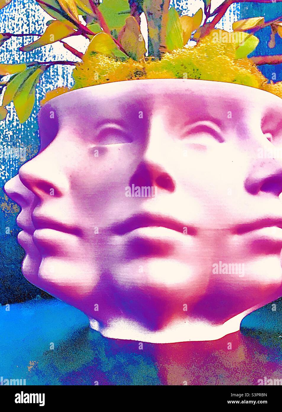 Heiße rosa Damen Gesicht Stockfoto