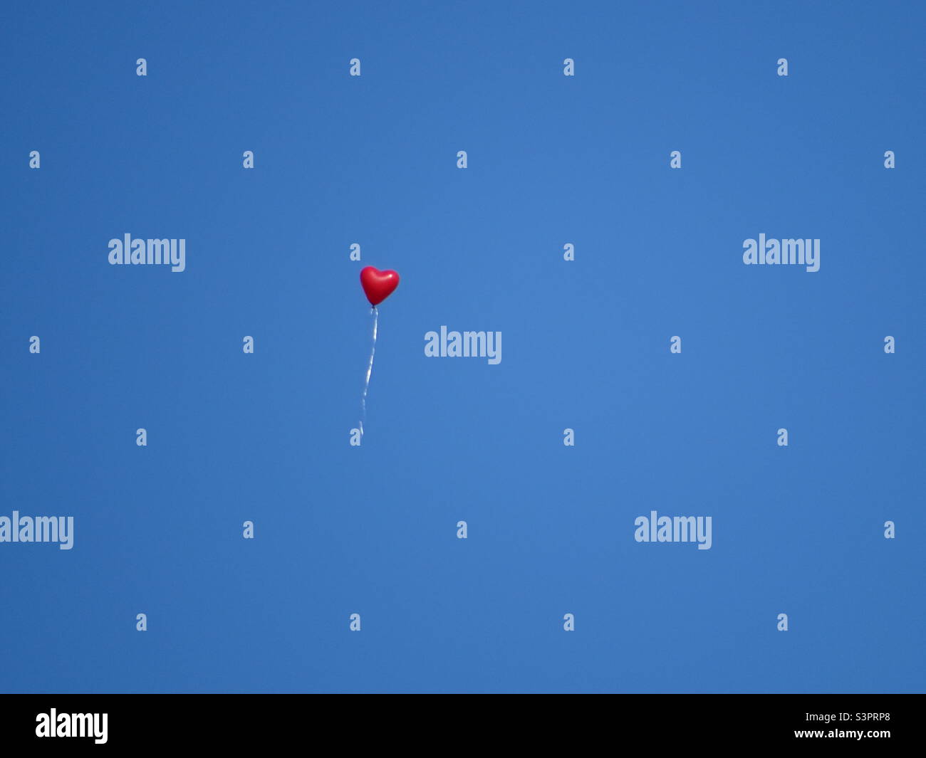 Roter Ballon im Loose Stockfoto