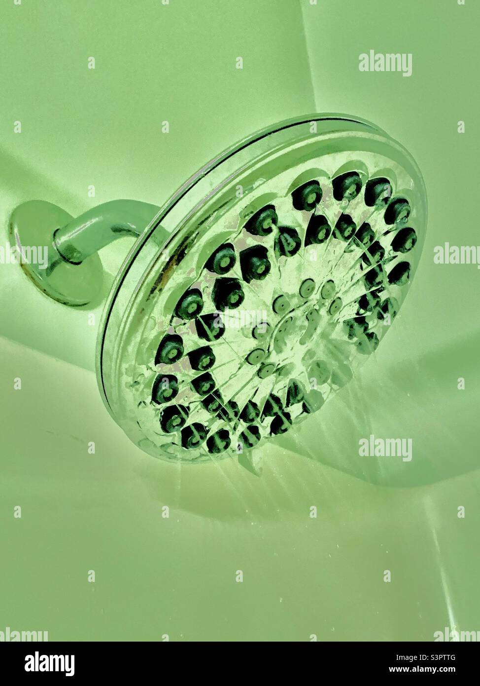 Funky, grüner Farbton, Duschkopf Stockfoto