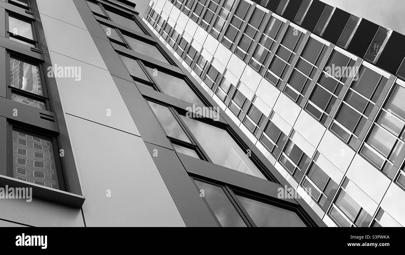Blick auf die Fenster hoher Gebäude in der Innenstadt von Los Angeles. Schwarz-Weiß, abstraktes Muster für Hintergründe geeignet Stockfoto