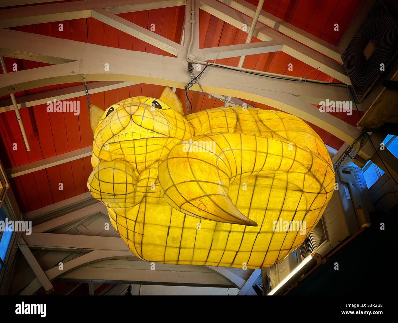 Eine beleuchtete Skulptur der Kätzin von Alice im Wunderland, die auf dem überdachten Markt in Oxford, Großbritannien, hängt. - Smartphone-aufgenommenes Stockfoto