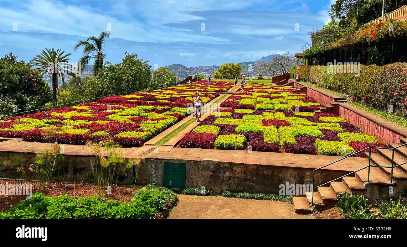 Botanischer Garten von Funchal - Smartphone-aufgenommenes Stockfoto