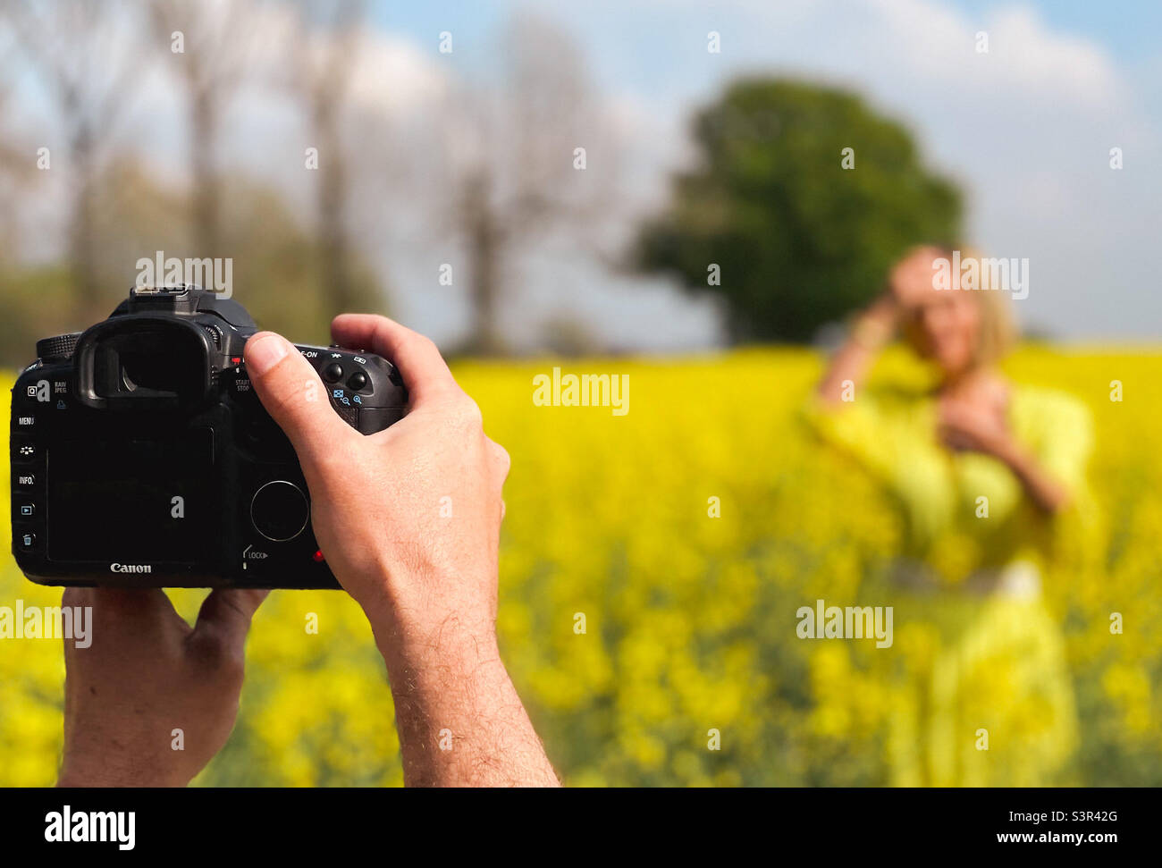 Fotoshooting im Freien in einem Feld von gelben Blumen Stockfoto