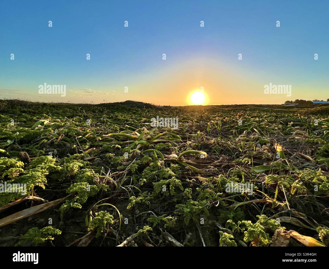 Sonnenuntergang in Punta Sur. Isla Mujeres, Mexiko Stockfoto