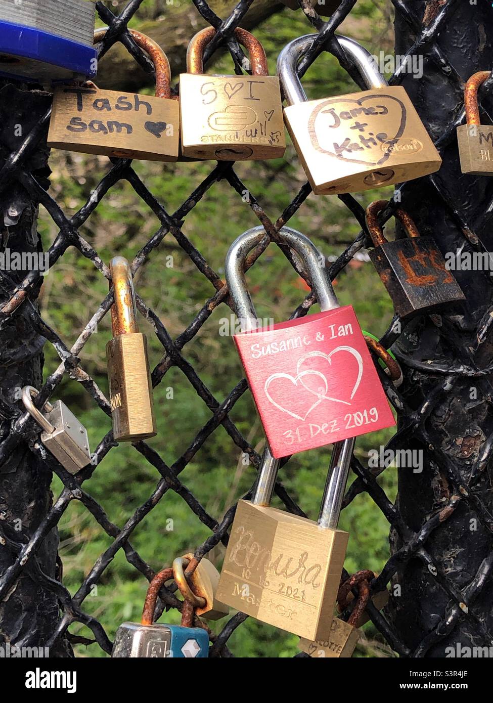 Lovelocks auf einem Drahtzaun Stockfoto