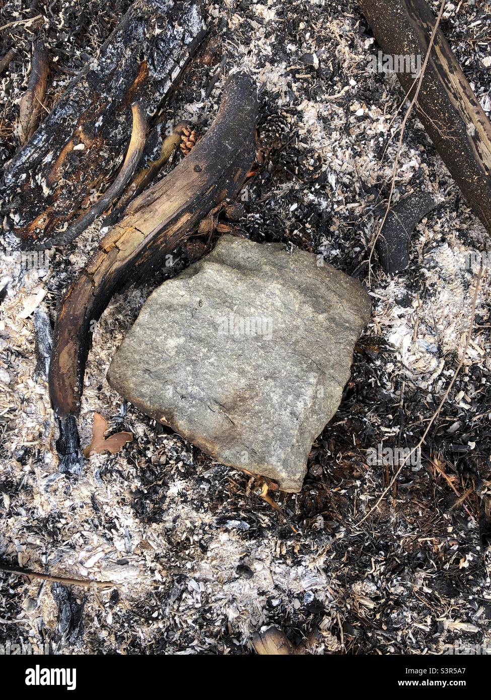 Ein herzförmiger Stein im Wald. Stockfoto