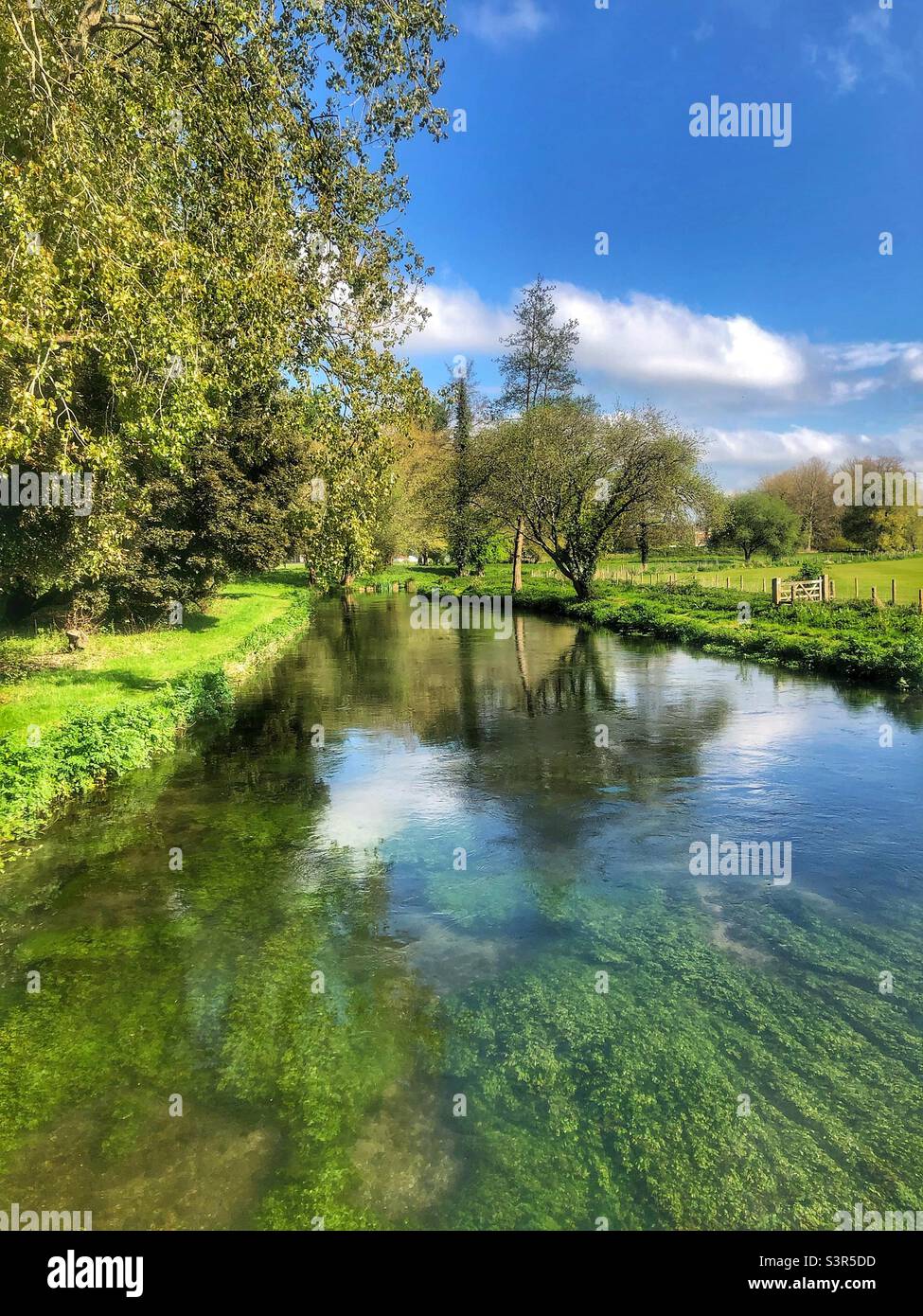 River Itchen Navigation, Winchester. Frühjahr 2022 Stockfoto
