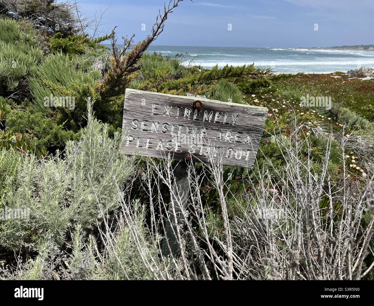 Altes Stay Out-Schild in Pebble Beach, Kalifornien. Stockfoto