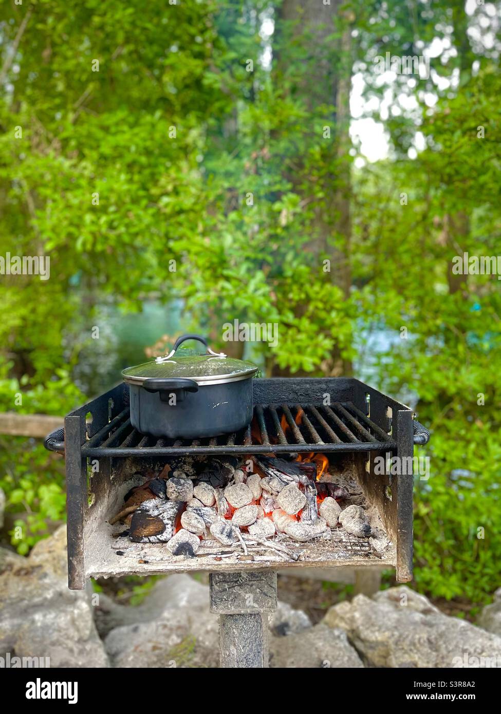 Grillen Kochen Wald Essen im Freien Natur Stockfoto