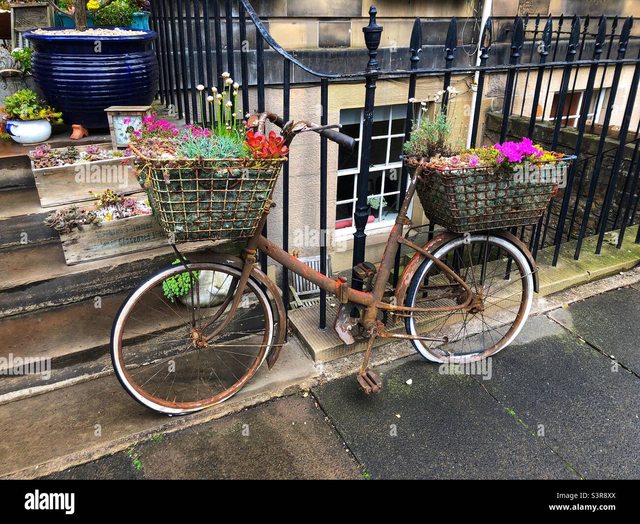 Altes rostiges Fahrrad, das sich an Geländer lehnt und als Miniaturblumen-Garten umgenutzt wird Stockfoto