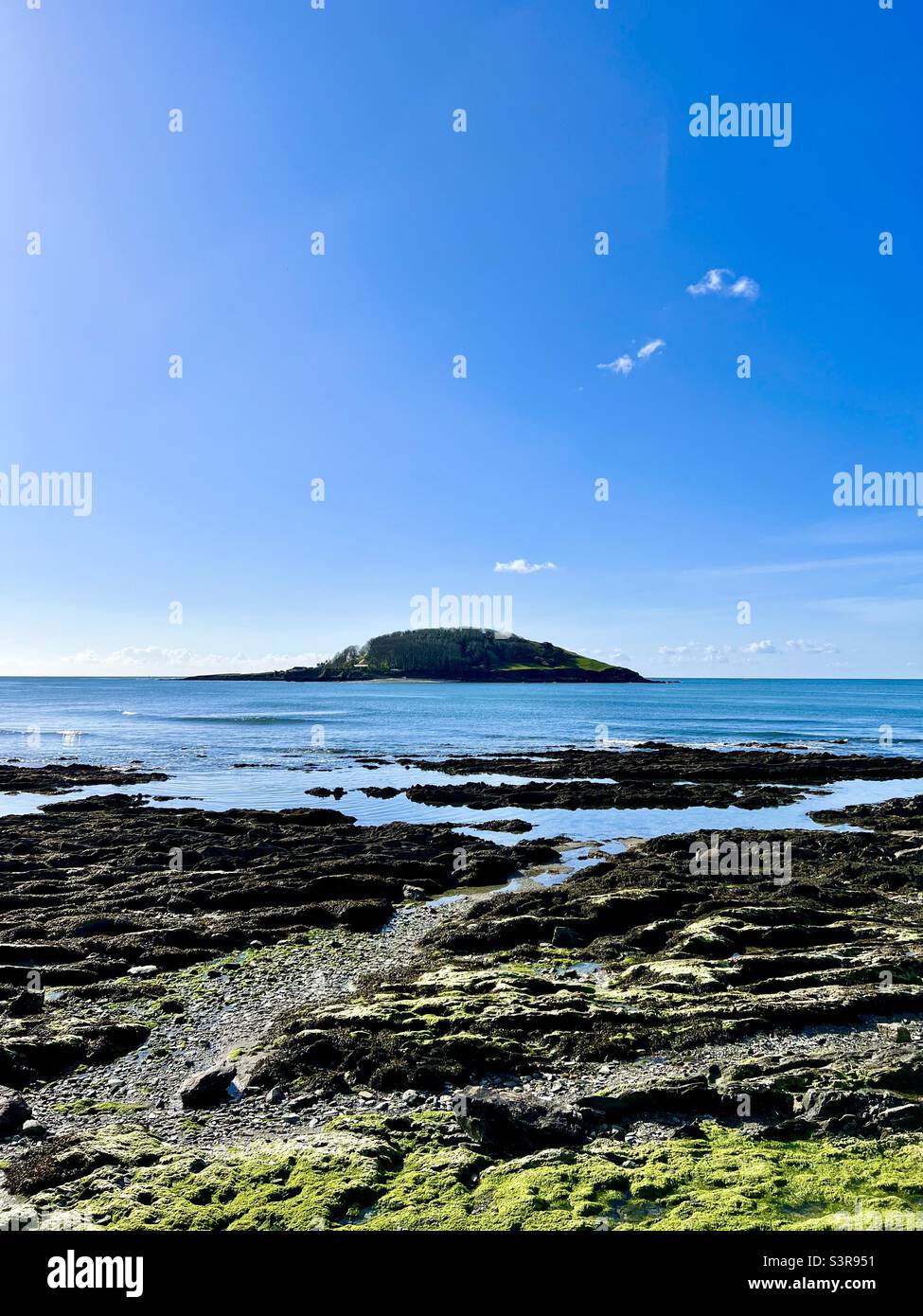 Looe Island von Hannafore aus gesehen Stockfoto