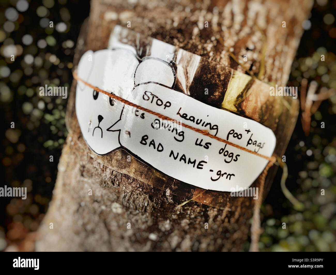 Ein hundeförmiges Schild, das auf einem Baum angebracht wurde und Hundebesitzer auffordert, ihre Hunde zu säubern Stockfoto